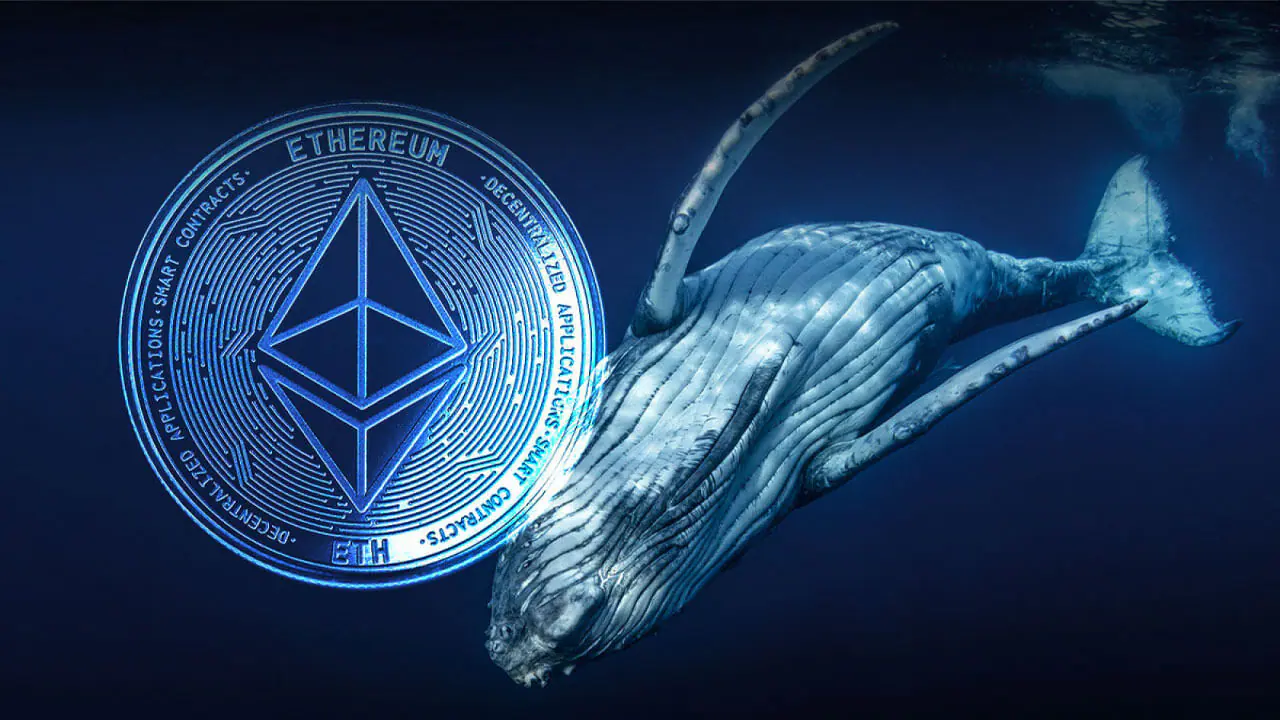 Cá voi Ethereum tích luỹ 405 triệu USD ETH