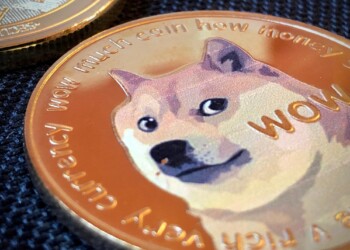 Nhà đầu tư bỏ Memecoin đầu tư vào Pullix (PLX) ngoài Dogecoin và Bonk