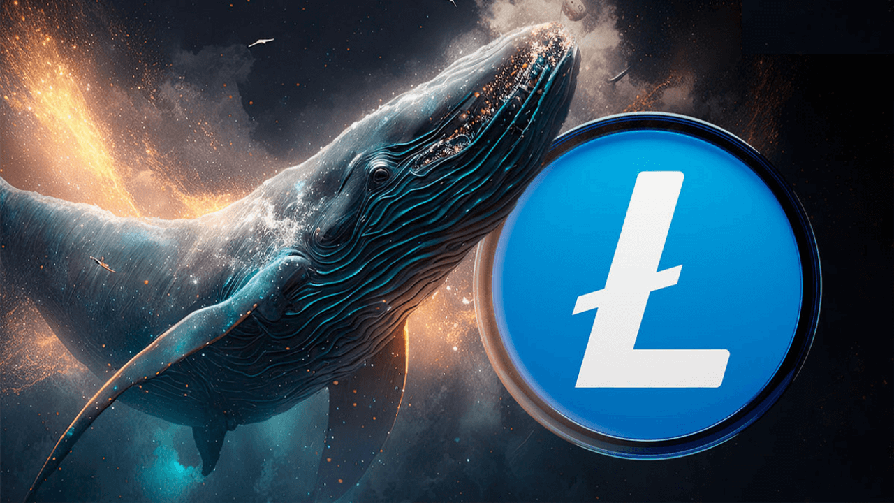 Cá voi Litecoin gửi 100 nghìn LTC vào Binance - Tin Tức Bitcoin - Cập Nhật Tin Tức Coin Mới Nhất 24/7 2026 Cá voi Litecoin gửi 100 nghìn LTC vào Binance