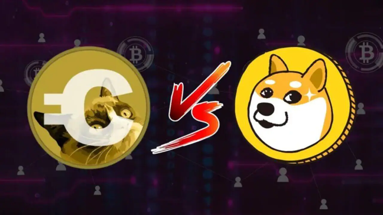 Cats vs dogs cơn sốt các memecoin trong tháng qua