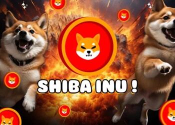 Cá voi Shiba Inu (SHIB) di chuyển 1,7 nghìn tỷ SHIB