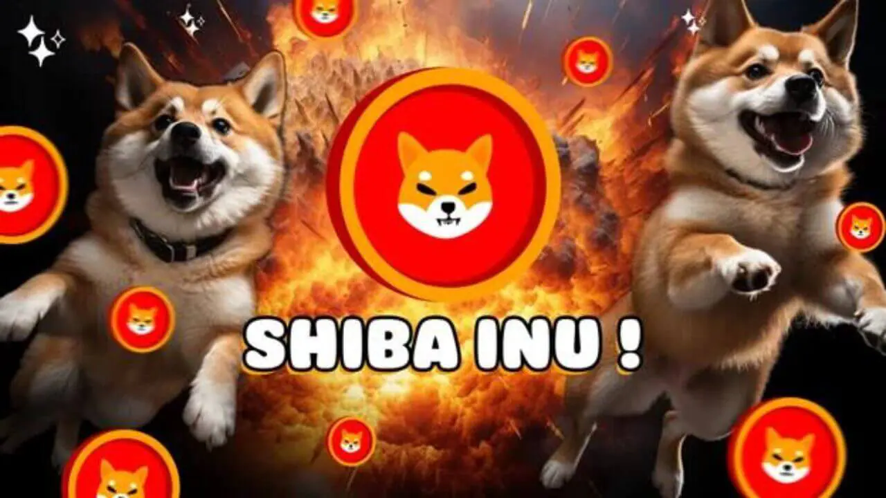 Shiba Inu ghi nhận dòng tiền vào tăng 570%