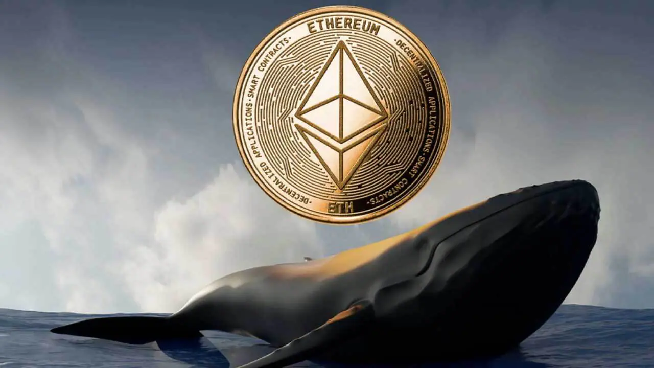 Gần 100 triệu USD Ethereum được cá voi tích luỹ