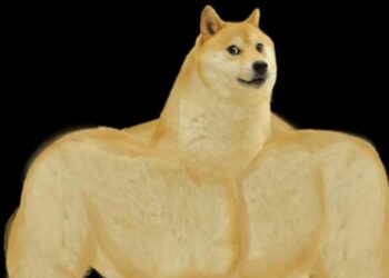 GYMDOGE sẽ tăng vọt 5.300% thách thức Shiba Inu và Dogecoin