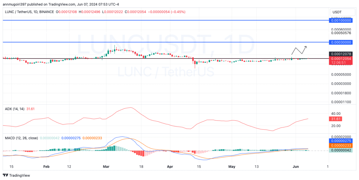 Giá LUNC có thể tăng nhờ tỷ lệ đốt? - Tin Tức Bitcoin - Cập Nhật Tin Tức Coin Mới Nhất 24/7 2025 Giá LUNC có thể tăng nhờ tỷ lệ đốt? - Tin Tức Bitcoin - Cập Nhật Tin Tức Coin Mới Nhất 24/7 2025