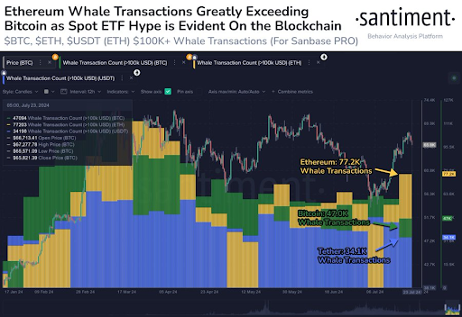 Cá voi Ethereum tích cực tích luỹ ETH - Tin Tức Bitcoin - Cập Nhật Tin Tức Coin Mới Nhất 24/7 2024