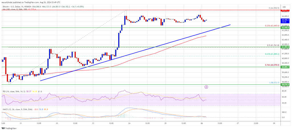 Giá Bitcoin đối mặt với thách thức ở mức 65K USD - Tin Tức Bitcoin - Cập Nhật Tin Tức Coin Mới Nhất 24/7 2024