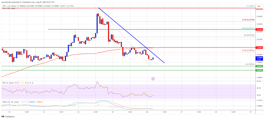 Giá XRP đang gặp khó khăn - Tin Tức Bitcoin - Cập Nhật Tin Tức Coin Mới Nhất 24/7 2024