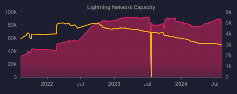 USDT-L có mặt trên Lightning Network - Tin Tức Bitcoin - Cập Nhật Tin Tức Coin Mới Nhất 24/7 2024