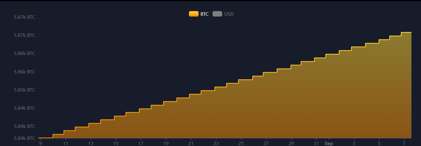 El Salvador kỷ niệm 3 năm chấp nhận Bitcoin - Tin Tức Bitcoin - Cập Nhật Tin Tức Coin Mới Nhất 24/7 2024