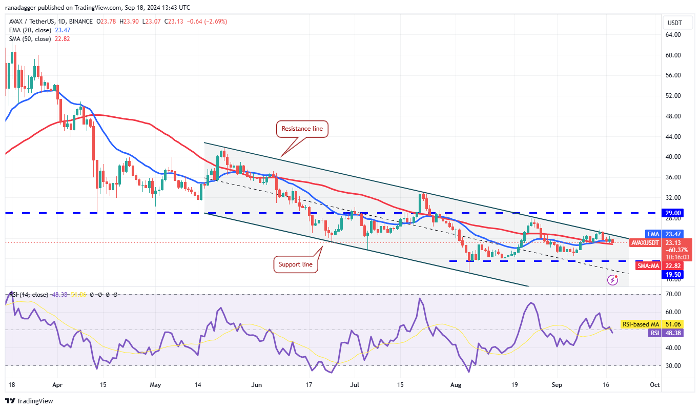 Phân tích giá 18/9: BTC, ETH, BNB, SOL, XRP, DOGE, TON, ADA, AVAX, SHIB - Tin Tức Bitcoin - Cập Nhật Tin Tức Coin Mới Nhất 24/7 2024