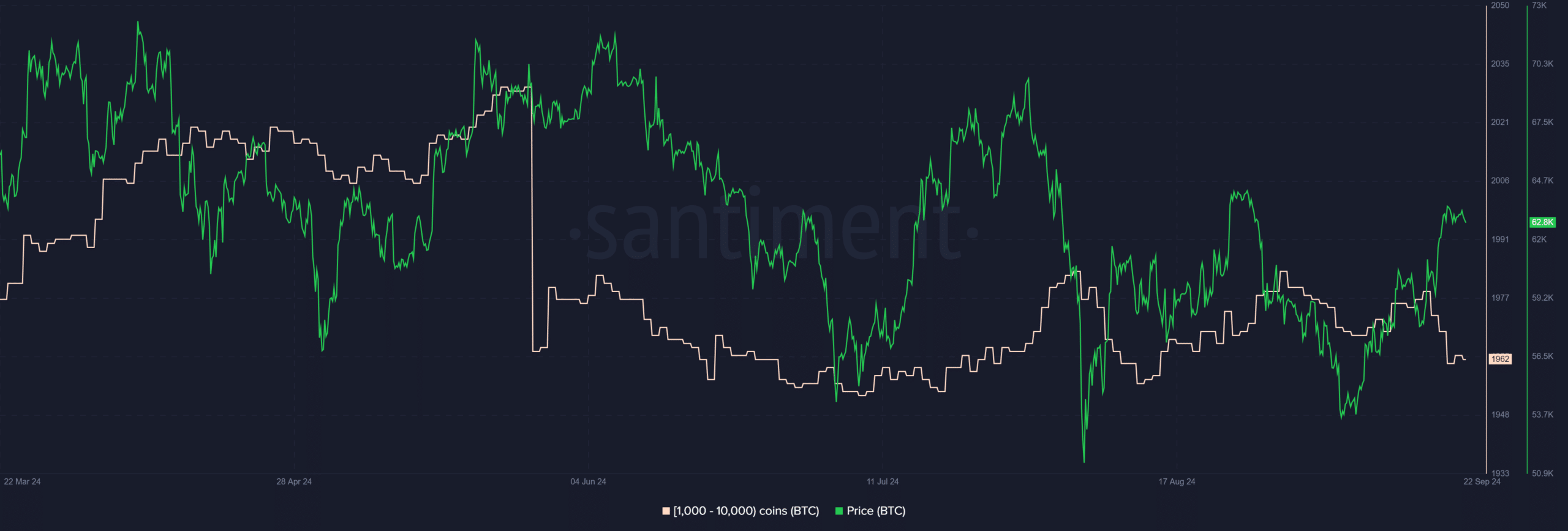 Cá voi Bitcoin