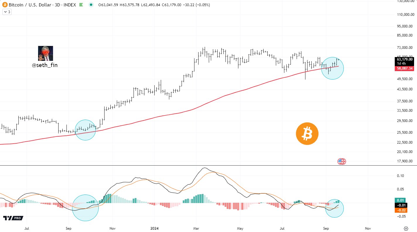 Holder Bitcoin dài hạn đạt kỷ lục – Điều này báo hiệu gì cho BTC? - Tin Tức Bitcoin - Cập Nhật Tin Tức Coin Mới Nhất 24/7 2024