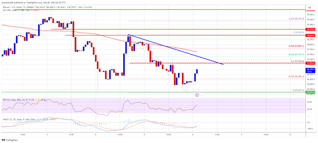 Nguồn: BTCUSD trên TradingView.com