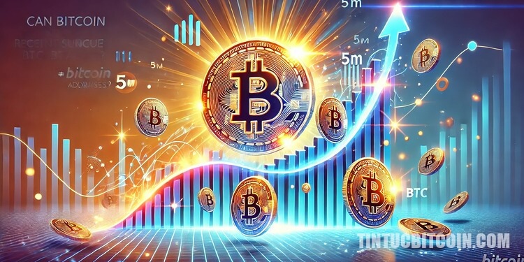 Đợt tăng giá gần đây của Bitcoin có cứu được 5 triệu địa chỉ BTC sụt giảm?