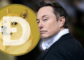 Elon Musk Giúp Dogecoin Thoát Khỏi Đợt Sụt Giá trong Tích Tắc