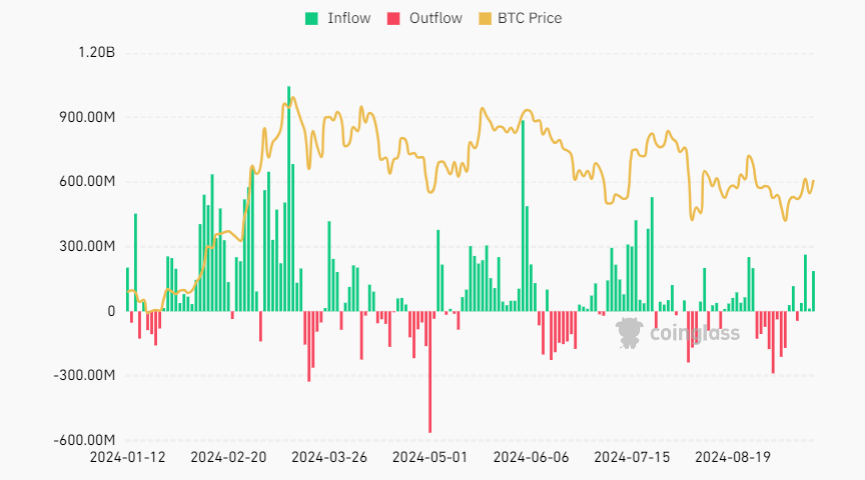 Ethereum ETF sẽ 'tốt hơn' nếu ra mắt tháng 1, theo Bitstamp - Tin Tức Bitcoin - Cập Nhật Tin Tức Coin Mới Nhất 24/7 2024