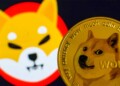 3 lý do khiến giá Shiba Inu và Dogecoin giảm - Tin Tức Bitcoin - Cập Nhật Tin Tức Coin Mới Nhất 24/7 2024