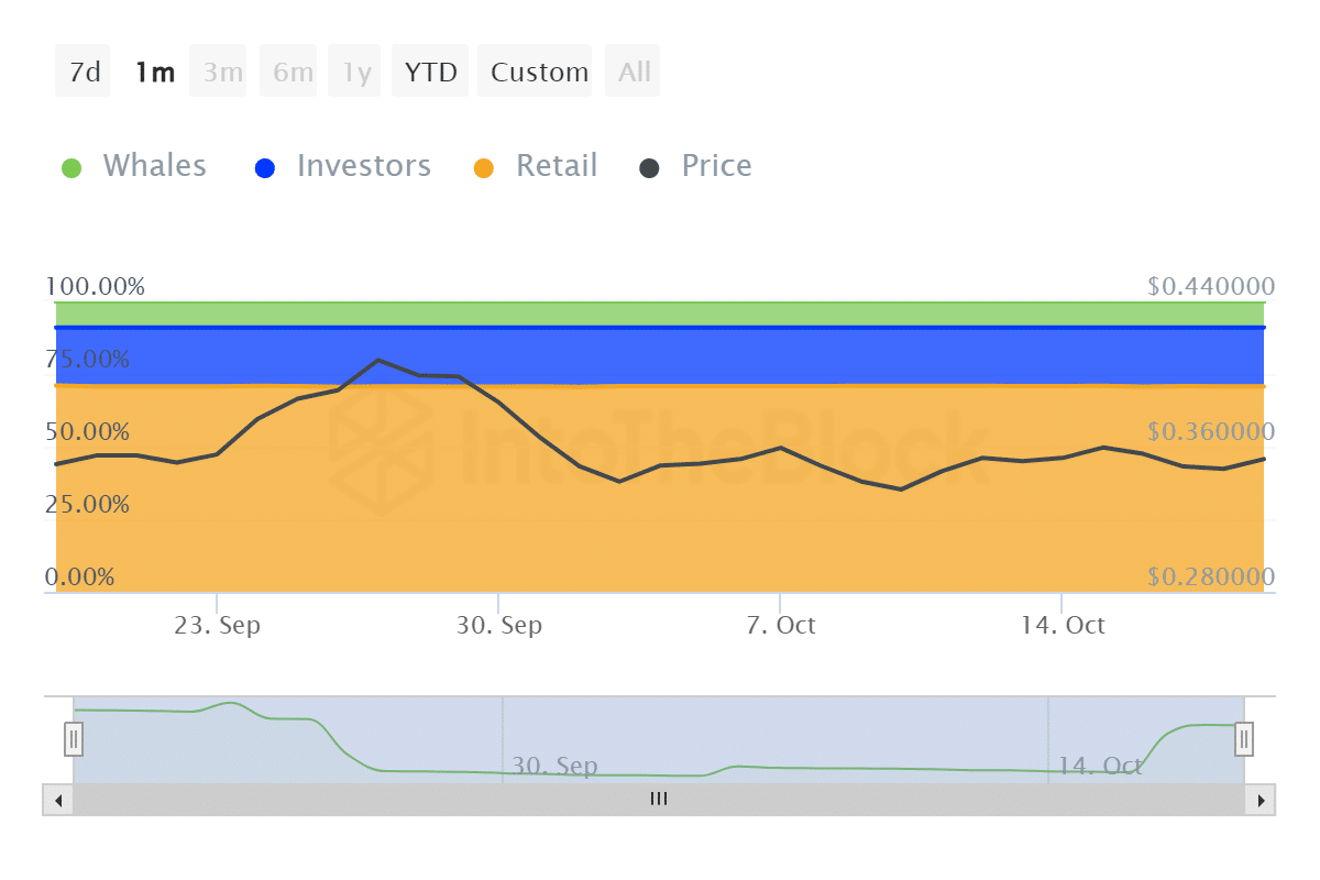 Cardano: Cơn sốt mạng có mang lại lợi ích cho ADA? - Tin Tức Bitcoin - Cập Nhật Tin Tức Coin Mới Nhất 24/7 2025 Cardano