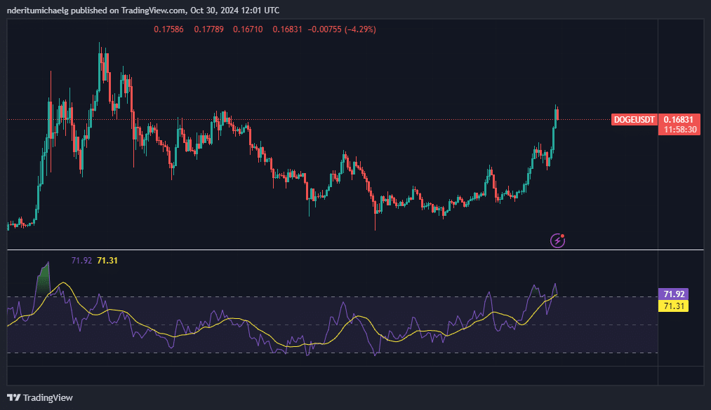 Dogecoin chiếm lĩnh 1% thị trường – Cá voi và bước tiếp theo? - Tin Tức Bitcoin - Cập Nhật Tin Tức Coin Mới Nhất 24/7 2025 Nguồn: TradingView