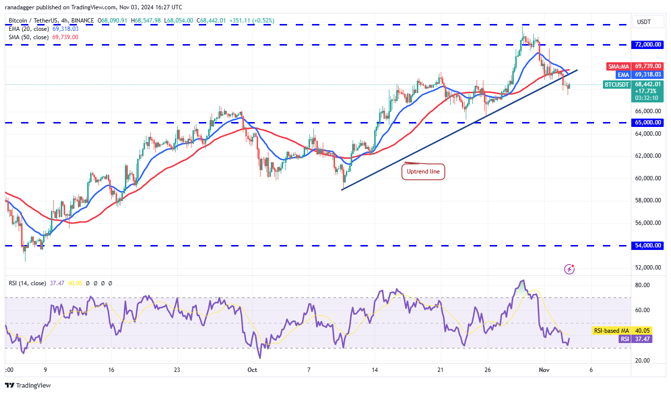 Bitcoin sẵn sàng phục hồi, ETH, DOGE, LTC, XMR cũng vậy - Tin Tức Bitcoin - Cập Nhật Tin Tức Coin Mới Nhất 24/7 2025 Litecoin, Dogecoin, Cryptocurrencies, Canada, Bitcoin Price, Markets, United States, Cryptocurrency Exchange, Monero, Donald Trump, Interest Rate, Price Analysis, Market Analysis, Ether Price, Kamala Harris, US Elections 2024