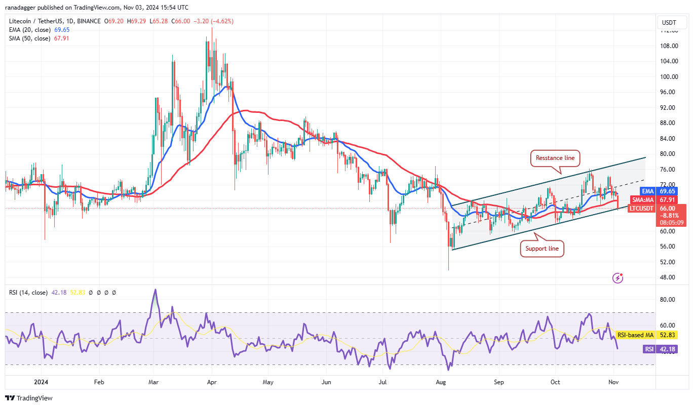 Bitcoin sẵn sàng phục hồi, ETH, DOGE, LTC, XMR cũng vậy - Tin Tức Bitcoin - Cập Nhật Tin Tức Coin Mới Nhất 24/7 2025 Litecoin, Dogecoin, Cryptocurrencies, Canada, Bitcoin Price, Markets, United States, Cryptocurrency Exchange, Monero, Donald Trump, Interest Rate, Price Analysis, Market Analysis, Ether Price, Kamala Harris, US Elections 2024