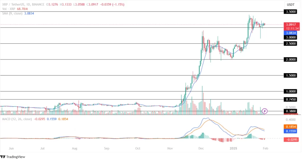 XRP Price Analysis 31st Jan 2025