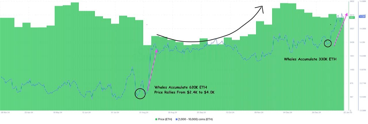 Cá voi Ethereum gom 1 tỷ USD ETH – Mục tiêu 5K USD có gần? - Tin Tức Bitcoin - Cập Nhật Tin Tức Coin Mới Nhất 24/7 2025 Ethereum whales