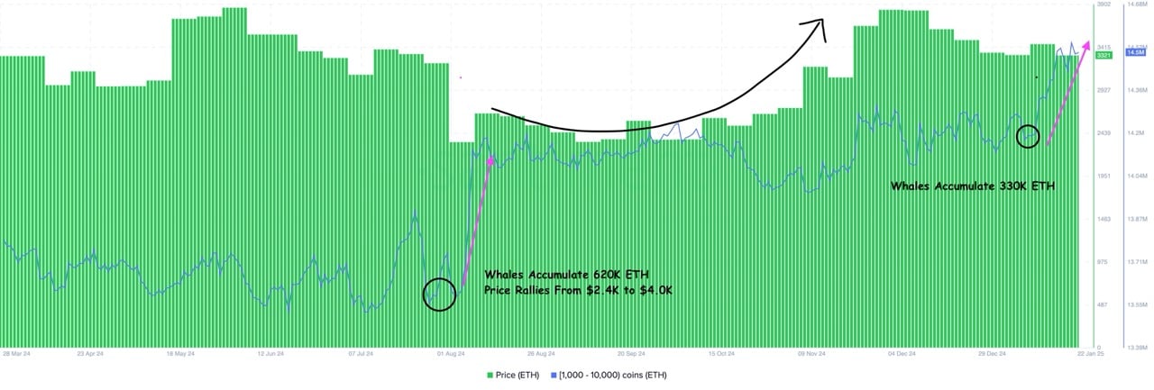Cá voi Ethereum tích trữ 1 tỷ USD ETH: Giá hướng 5K sắp đến? - Tin Tức Bitcoin - Cập Nhật Tin Tức Coin Mới Nhất 24/7 2025 Cá voi Ethereum tích trữ 1 tỷ USD ETH: Giá hướng 5K sắp đến? - Tin Tức Bitcoin - Cập Nhật Tin Tức Coin Mới Nhất 24/7 2025