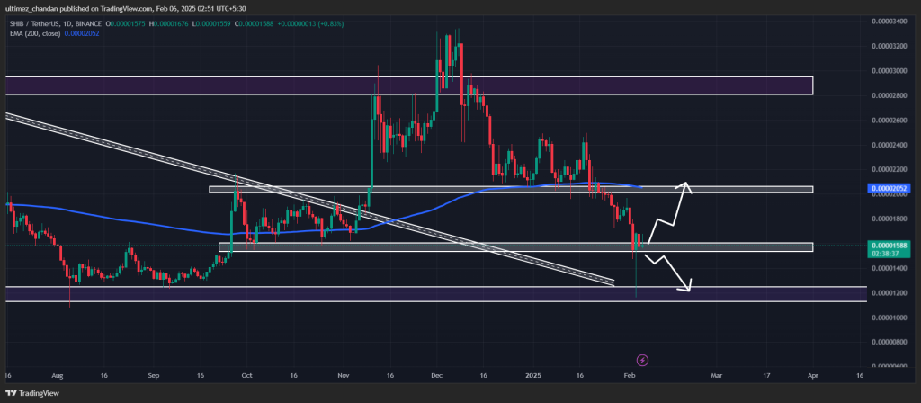 Bùng nổ Shiba Inu? 1,23 nghìn tỷ SHIB dịch chuyển! - Tin Tức Bitcoin - Cập Nhật Tin Tức Coin Mới Nhất 24/7 2025