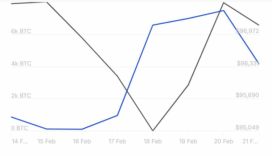 Cá voi Bitcoin: Chiến lược từ tiền điện tử biến động - Tin Tức Bitcoin - Cập Nhật Tin Tức Coin Mới Nhất 24/7 2025