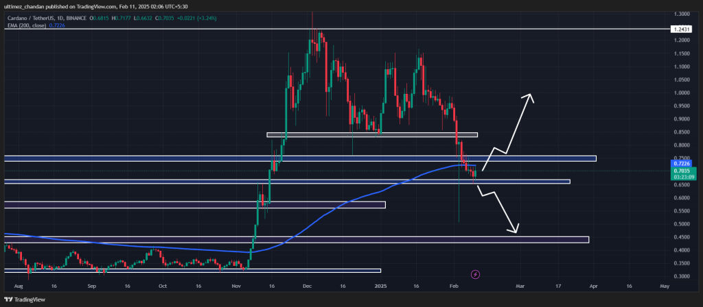 Cá voi Cardano mất đà, mục tiêu 0,50 USD - Tin Tức Bitcoin - Cập Nhật Tin Tức Coin Mới Nhất 24/7 2025