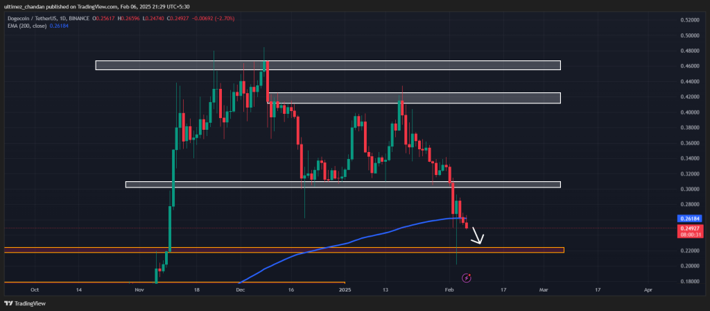 Dogecoin chuẩn bị giảm, cá voi vẫn mua 750 triệu DOGE - Tin Tức Bitcoin - Cập Nhật Tin Tức Coin Mới Nhất 24/7 2025