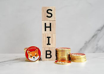 Sự Tăng Trưởng Của ChowWow Thu Hút Sự Chú Ý Từ Cá Voi Dogecoin và Shiba Inu