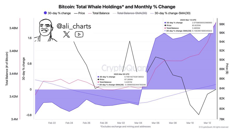 Bitcoin đã halving, khi nào đợt tăng giá thực sự? - Tin Tức Bitcoin - Cập Nhật Tin Tức Coin Mới Nhất 24/7 2025 bitcoin