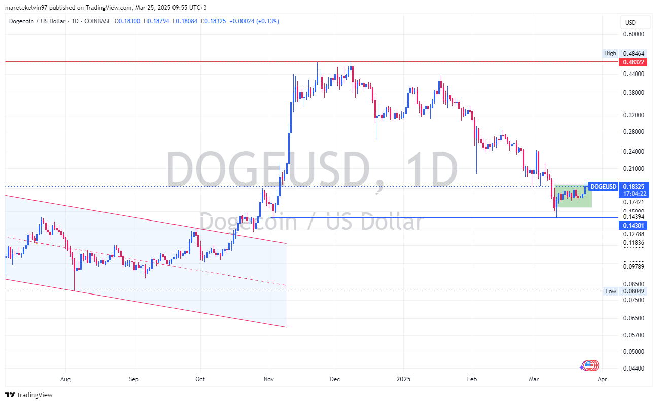 Dogecoin suy giảm hoạt động: Lo ngại cho DOGE? - Tin Tức Bitcoin - Cập Nhật Tin Tức Coin Mới Nhất 24/7 2025