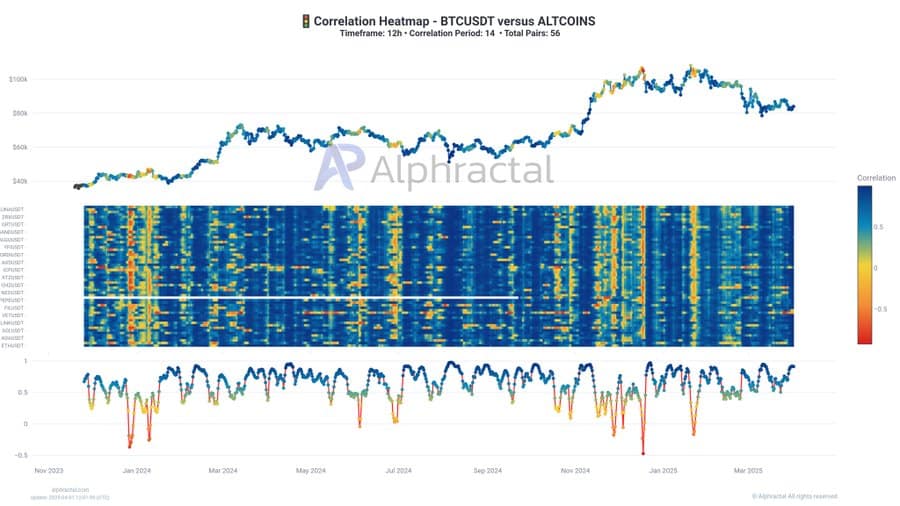 Thống trị Bitcoin tăng, altcoin mở lối đi riêng? - Tin Tức Bitcoin - Cập Nhật Tin Tức Coin Mới Nhất 24/7 2025 altcoins