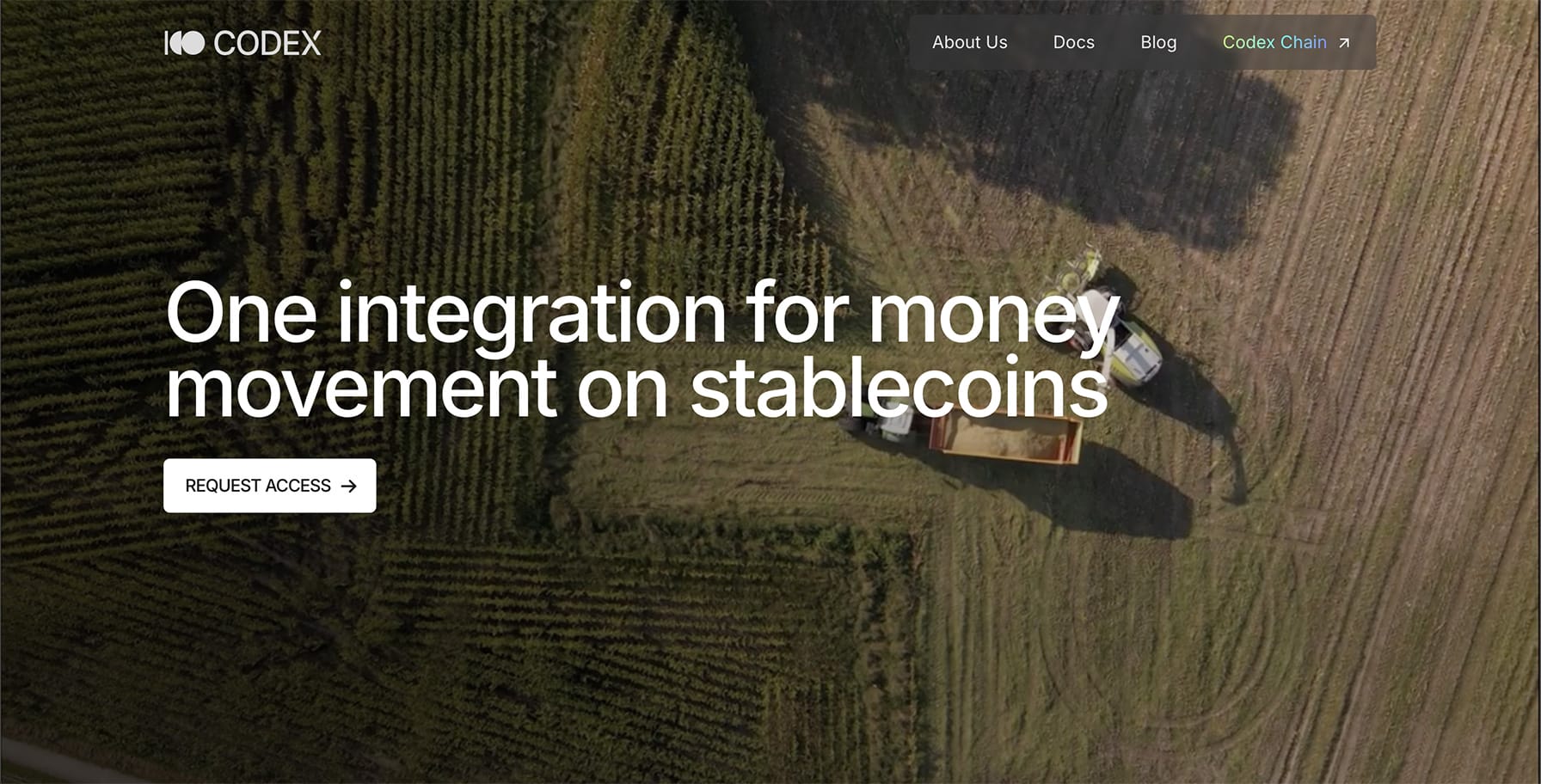 Codex là gì? Tổng quan về dự án Codex - Tin Tức Bitcoin - Cập Nhật Tin Tức Coin Mới Nhất 24/7 2025