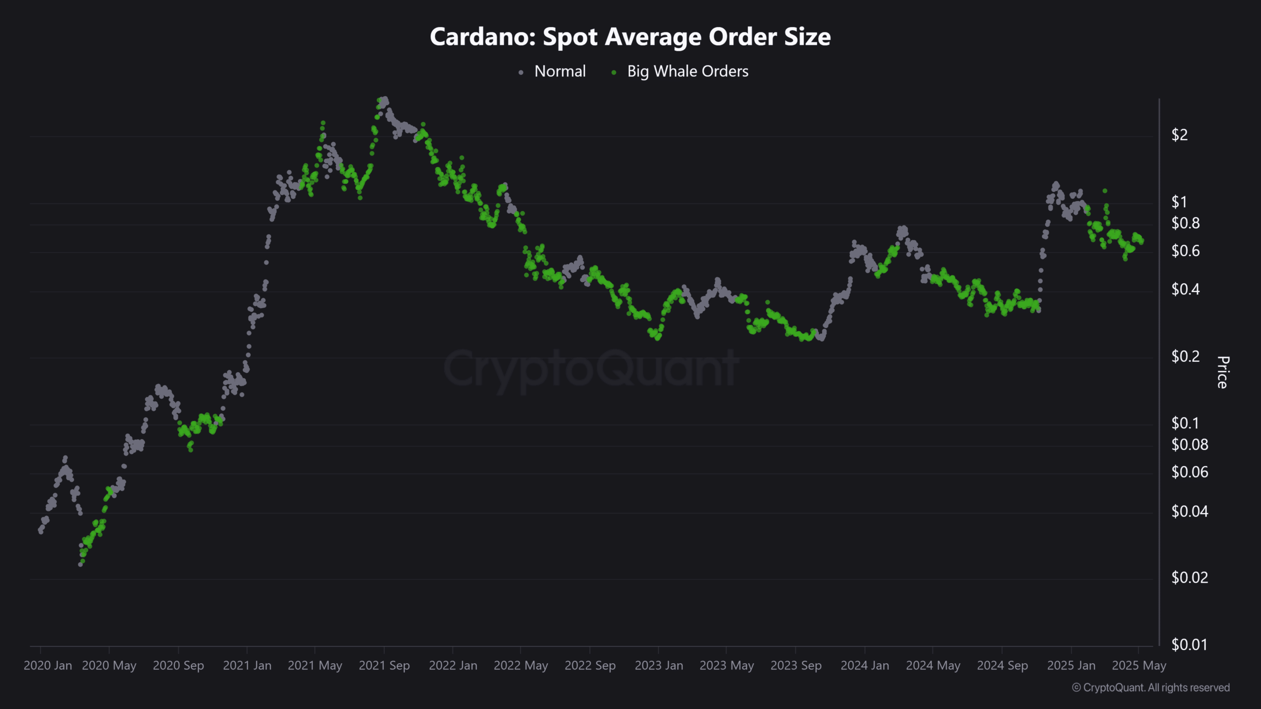 Cardano bứt phá: ADA nhắm mốc 80 cent tiếp theo - Tin Tức Bitcoin - Cập Nhật Tin Tức Coin Mới Nhất 24/7 2025 Cardano bứt phá: ADA nhắm mốc 80 cent tiếp theo - Tin Tức Bitcoin - Cập Nhật Tin Tức Coin Mới Nhất 24/7 2025