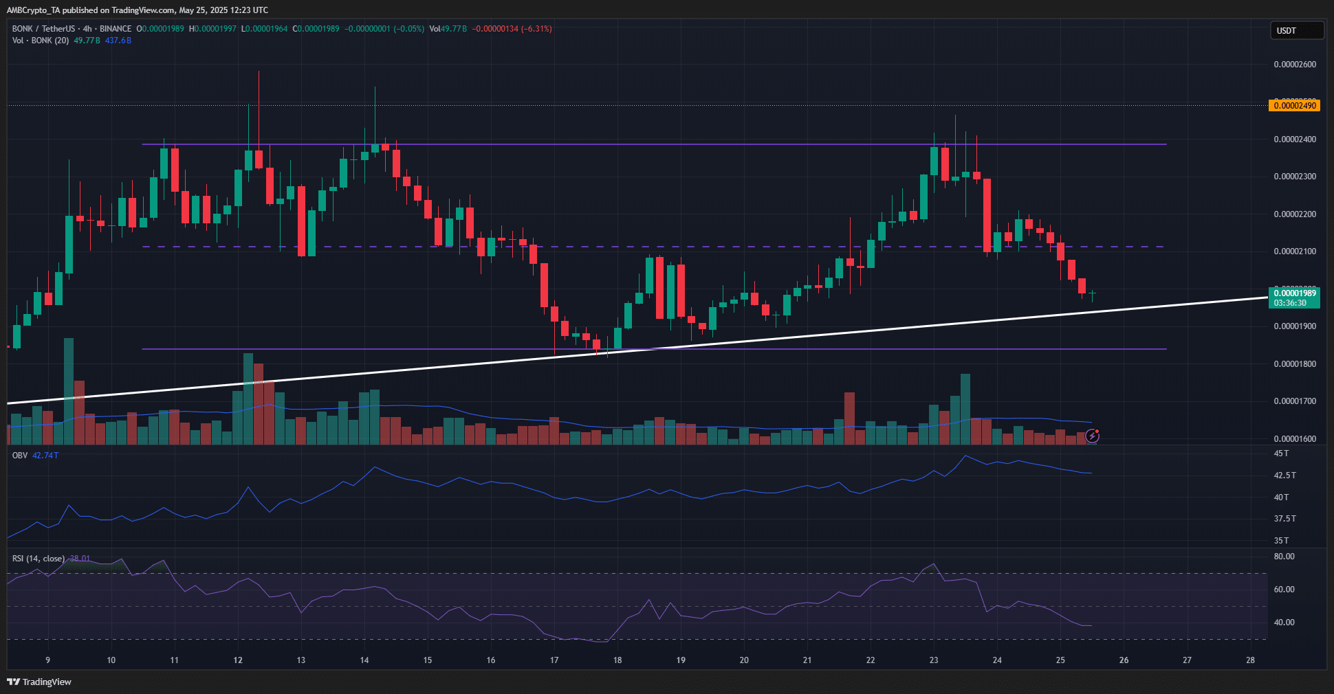 BONK 4-hour Chart