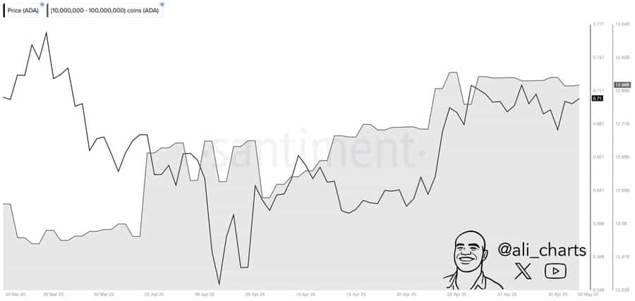 Cá voi Cardano gom 410 triệu ADA – Đột phá tháng 5 sắp tới? - Tin Tức Bitcoin - Cập Nhật Tin Tức Coin Mới Nhất 24/7 2025 Cá voi Cardano gom 410 triệu ADA – Đột phá tháng 5 sắp tới? - Tin Tức Bitcoin - Cập Nhật Tin Tức Coin Mới Nhất 24/7 2025