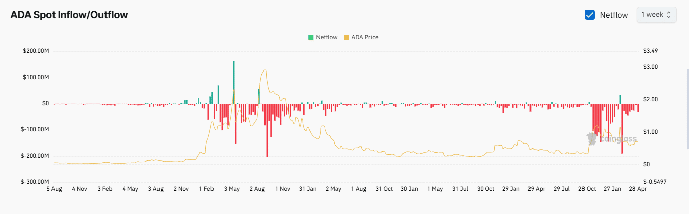 Cá voi Cardano gom 410 triệu ADA – Đột phá tháng 5 sắp tới? - Tin Tức Bitcoin - Cập Nhật Tin Tức Coin Mới Nhất 24/7 2025 Cá voi Cardano gom 410 triệu ADA – Đột phá tháng 5 sắp tới? - Tin Tức Bitcoin - Cập Nhật Tin Tức Coin Mới Nhất 24/7 2025
