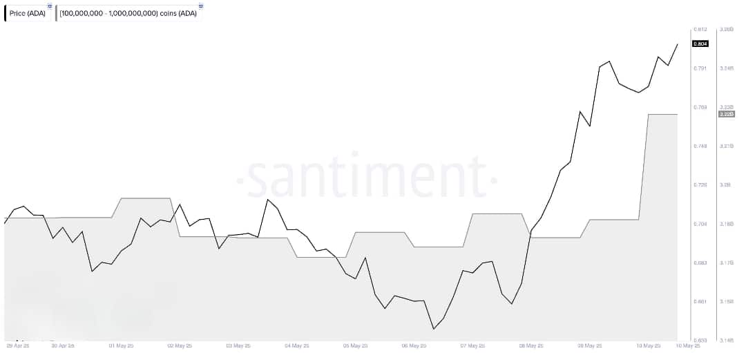 Cá voi gom 40M ADA: Liệu ADA đạt 0,90 USD? - Tin Tức Bitcoin - Cập Nhật Tin Tức Coin Mới Nhất 24/7 2025 ada Cardano