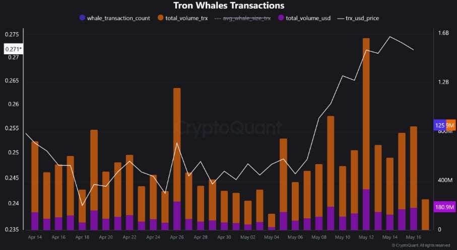 Whale xả 231 triệu TRX: Liệu đợt tăng đến 0,30 USD? - Tin Tức Bitcoin - Cập Nhật Tin Tức Coin Mới Nhất 24/7 2025 Whale xả 231 triệu TRX: Liệu đợt tăng đến 0,30 USD? - Tin Tức Bitcoin - Cập Nhật Tin Tức Coin Mới Nhất 24/7 2025