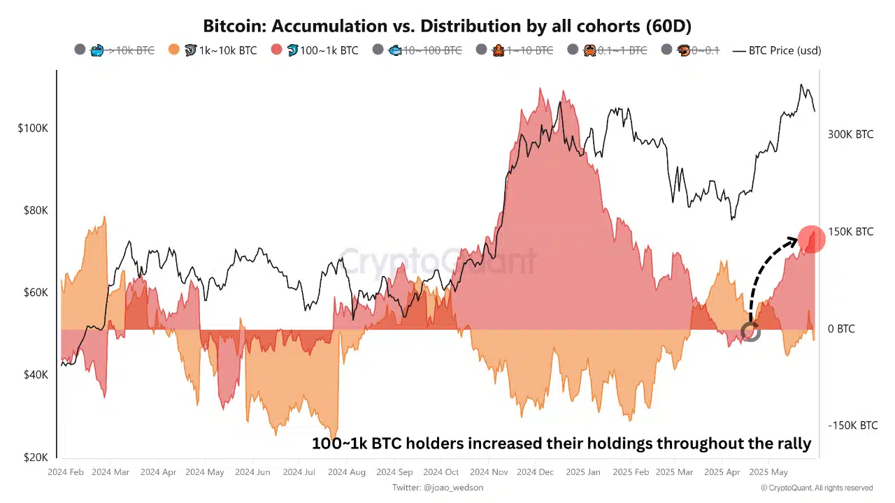 Cuộc chơi Bitcoin đảo chiều Người mua lẻ thay cá mập chi phối - Tin Tức Bitcoin - Cập Nhật Tin Tức Coin Mới Nhất 24/7 2025 bitcoin