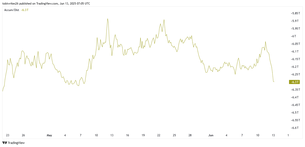 FLOKI lao dốc 32%: 3 tín hiệu nguy hiểm cho holder tiền điện tử - Tin Tức Bitcoin - Cập Nhật Tin Tức Coin Mới Nhất 24/7 2025 distribution chart of FLOKI