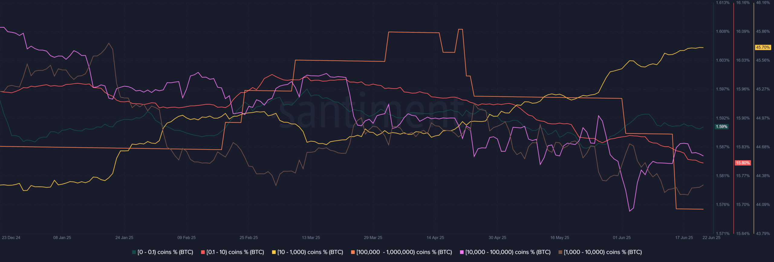 Pompliano công bố ProCap niêm yết với 1 tỷ USD Bitcoin sau thương vụ SPAC 750 triệu USD - Tin Tức Bitcoin - Cập Nhật Tin Tức Coin Mới Nhất 24/7 2025 Bitcoin Supply Distribution-comp