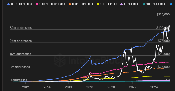 Bitcoin lao dốc khi cầu giảm, cơ hội hay rủi ro tiếp theo? - Tin Tức Bitcoin - Cập Nhật Tin Tức Coin Mới Nhất 24/7 2025 Bitcoin lao dốc khi cầu giảm, cơ hội hay rủi ro tiếp theo? - Tin Tức Bitcoin - Cập Nhật Tin Tức Coin Mới Nhất 24/7 2025