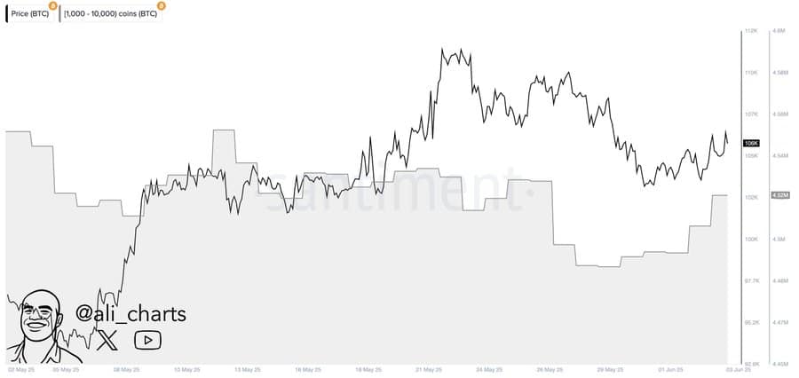 Cá voi bơm 30K BTC, Bitcoin tăng mạnh khi cá mập rút lui - Tin Tức Bitcoin - Cập Nhật Tin Tức Coin Mới Nhất 24/7 2025 Cá voi bơm 30K BTC, Bitcoin tăng mạnh khi cá mập rút lui - Tin Tức Bitcoin - Cập Nhật Tin Tức Coin Mới Nhất 24/7 2025
