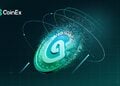 CoinEx đảm bảo niềm tin giữa sóng gió biến động tiền điện tử